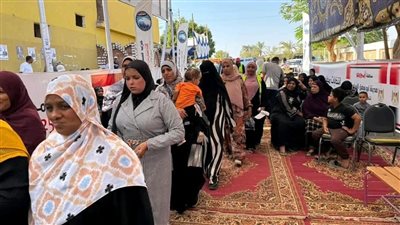 استمرار توافد الناخبين بمحافظة أسوان في انتخابات مجلس النواب 2025