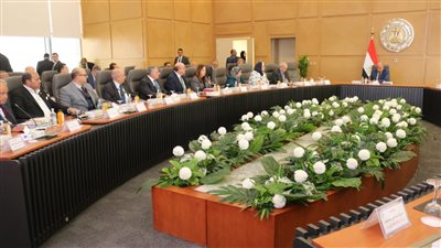 45 مليار جنيه استثمارات لتطوير الشبكة الكهربائية وخفض الفقد الفني إلى 3.4%