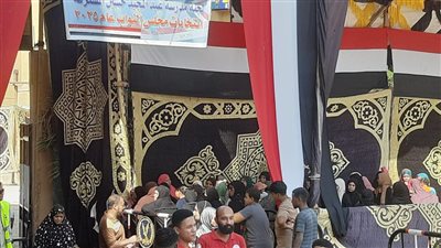 استمرار إقبال الناخبين على لجان الاقتراع في أسوان للتصويت في انتخابات مجلس النواب