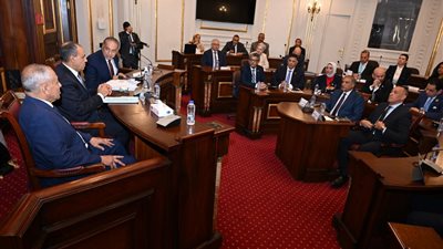 لجنة العلاقات الخارجية والعربية والأفريقية بمجلس الشيوخ تعقد اجتماعها الأول بحضور وزير الخارجية