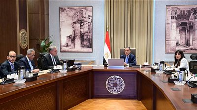 اجتماع رئيس الوزراء ووزير البترول