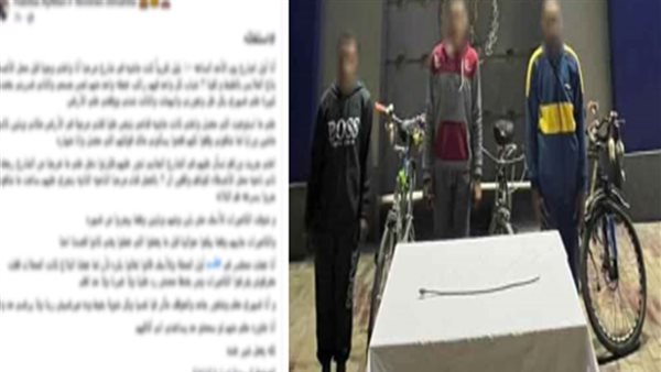 الداخلية تكشف ملابسات تحرش وضرب طالبة المحلة.. ضبط 3 متهمين