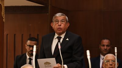 لجان المجلس علنية دعماً للشفافية