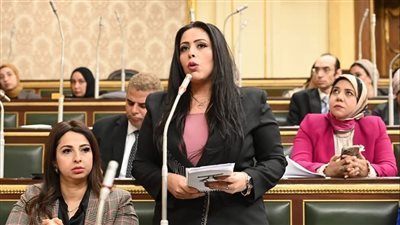 بعد تقديم طلبات لرفع الأسعار.. اتصالات النواب تكشف لتحيا مصر تفاصيل أسعار خدمات المحمول الفترة المقبلة