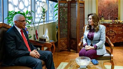 تحركات حكومية لدعم تنمية شمال سيناء وتطوير الخدمات في المدن والمراكز