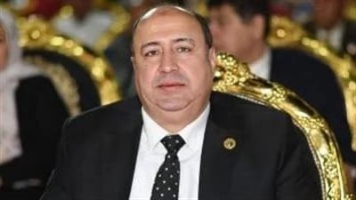 توجيهات الرئيس بشأن انتخابات النواب تؤكد ان إرادة المصريين ستكون المعبرة