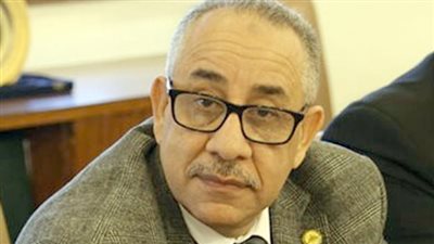 تدخل الرئيس لضمان نزاهة الانتخابات يؤكد أن انتخابات الفردي لن تأتي إلا بإرادة شعبية