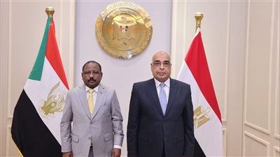 وزير العدل يبحث مع نظيره السوداني تعزيز التعاون القضائي ودعم تطوير منظومة التقاضي
