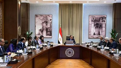 مصر تواصل ترسيخ دورها الإقليمي وتدعيم الهوية الوطنية