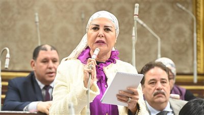 حرص الرئيس على نزاهة الانتخابات يعكس احترام الدولة لإرادة المصريين