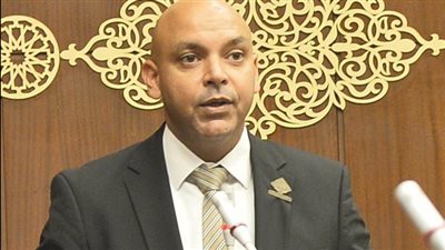 محمود القط: تدخل الرئيس لضمان نزاهة انتخابات النواب 2025 تضمن صون أصوات إرادة المصريين