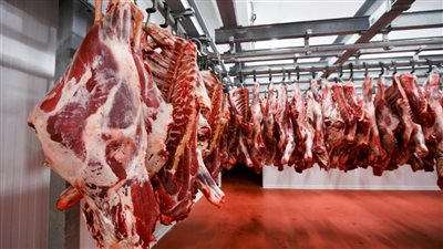 اللحوم تواصل مكاسبها في السوق المحلي رغم الركود
