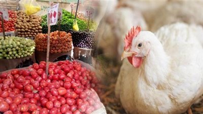 أسعار الدواجن والخضار والذهب.. تذبذبات يومية تختبر قدرة السوق على الاحتمال