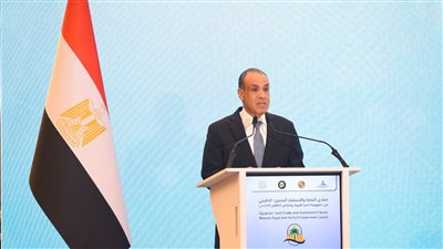 بيان عاجل من مصر بشأن قرار الأمم المتحدة حول حق الشعب الفلسطيني في تقرير المصير