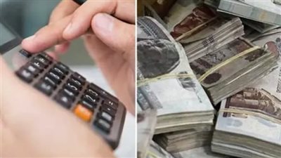 أعلى شهادة ادخار بعد تثبيت الفائدة.. العائد الذى يبحث عنه الجميع