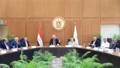 مصر الرابعة عالميًا في استضافة أفرع الجامعات البريطانية… والتعليم العالي تستعرض نتائج التوسع الدولي