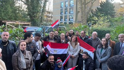 المصريين في ألمانيا يواصلون الإدلاء بأصواتهم في أول أيام تصويت المصريين بالخارح بانتخابات مجلس النواب