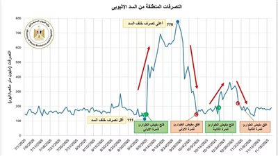 مصر تحذر من التصرفات المائية غير المنضبطة للسد الإثيوبي على النيل الأزرق