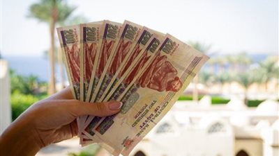 بعد تثبيت سعر الفائدة..شروط فتح حساب التوفير في البنك الأهلي المصري