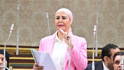 أمل سلامة تدعو المواطنين للمشاركة في انتخابات النواب: صوتك مسؤولية وطنية