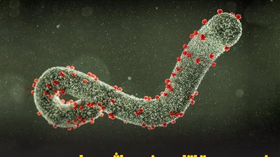 وزارة الصحة تنفي وWHO لم تعلن حالات