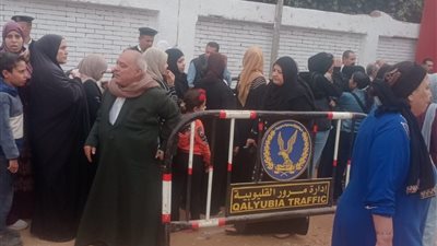 استمرار توافد الناخبين على مقار اللجان الانتخابية بدمياط فى المرحلة الثانية لانتخابات مجلس النواب