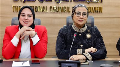 اجتماع طارئ للطفولة بعد واقعة «سيدز».. حماية الأطفال وتشديد العقوبات