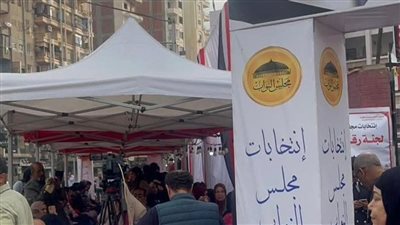 «نسبة مشاركة السيدات كبيرة»..إقبال لافت بالدقهلية في اليوم الأول للانتخابات