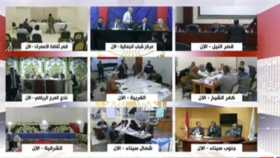 حصر عددي.. إعادة مرتقبة بين مرشح حماة الوطن ومستقل على مقعد الباجور بالمنوفية