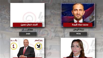 حصر عددي.. تقدم مرشح حماة الوطن محمد شيحة بدائرة السيدة زينب