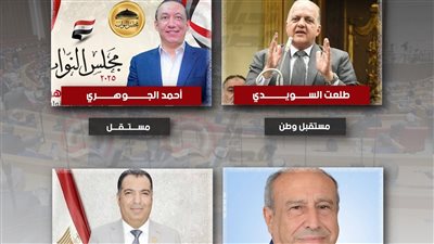 الحصر العددي بدائرة ديرب نجم بالشرقية.. جولة إعادة بين مرشح مستقبل وطن وثلاثة مستقلين