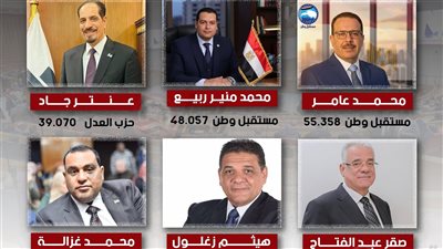 حصر عددي زفتى والسنطة.. إعادة مرتقبة بين مرشحي مستقبل وطن والعدل ومستقلين