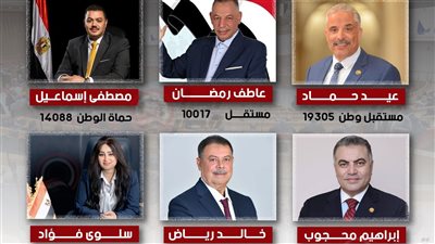 حصر عددي.. إعادة مرتقبة بحلوان بين مرشحي مستقبل وطن وحماة الوطن ومستقلين على 3 مقاعد