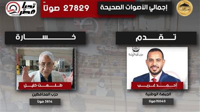حصر عددي دائرة السويس.. تقدم مرشح الجبهة.. وإعادة مرتقبة بين مرشح مستقبل وطن وآخر مستقل.. وخسارة طلعت خليل