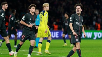 ملخص أهداف ونتيجة مباراة باريس سان جيرمان وتوتنهام هوتسبير في دوري أبطال أوروبا