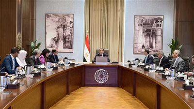 رئيس الوزراء يتابع تنفيذ خطة تطوير المنظومة الجمركية وخفض زمن الإفراج ليومين