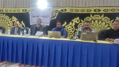 اللجنة العامة بالدقهلية تعلن نتائج الحصر العددي لأصوات الناخبين بانتخابات النواب