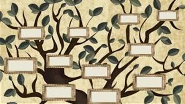 اكتشف جذورك العائلية.. خطوات استخراج شجرة العائلة من دار المحفوظات بالقلعة