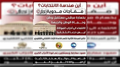 أين هندسة الانتخابات؟.. مفآجات مدوية بخسارة مرشحي «مستقبل وطن وحماة الوطن والجبهة»