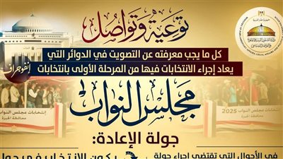 مواعيد وضوابط التصويت في الدوائر التي تُعاد فيها انتخابات المرحلة الأولى لمجلس النواب.. تفاصيل