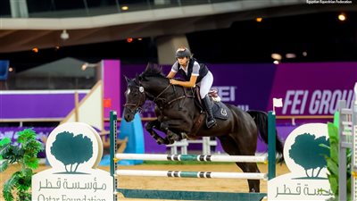 مصر تشارك بـ23 لاعبًا ولاعبة في نهائي المجموعة السابعة للفروسية بقطر