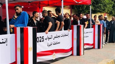 قرار مرتقب بإلغاء جولة الإعادة في الدوائر الملغاة بحكم الإدارية العليا