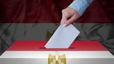 الإدارية العليا تُلغي الانتخابات في دائرة البلينا فقط.. وباقي دوائر سوهاج كانت ملغاة بقرار من الوطنية للانتخابات