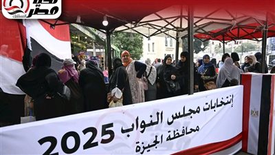 دائرتان إضافيتان ترفع الإجمالي إلى 30 دائرة ملغاة قضائيًا و49 دائرة بإجمالي الإلغاءات