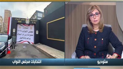 نحن أمام إعادة العملية الانتخابية في حوالي 70% من إجمالي المقاعد الفردية