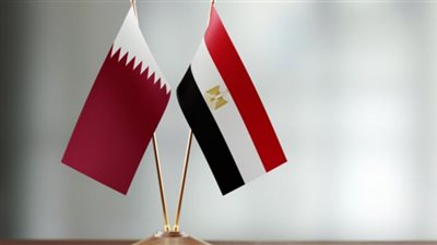 مشروع “علم الروم”.. رامي حجازي لـ تحيا مصر: استثمار استراتيجي يعزز الاقتصاد