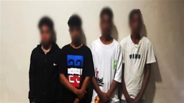 ألقوا قطة في نهر النيل.. ضبط 4 طلاب بالجيزة