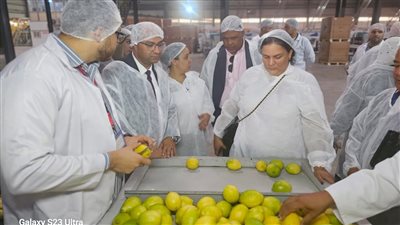 “الزراعة” تبحث فتح أسواق الكاريبي أمام الموالح والرمان المصريين