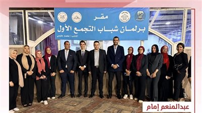 ميرنا برسوم تتقدم بشكوى رسمية ضد عبد المنعم إمام لمخالفته ضوابط الدعاية الانتخابية بالقاهرة الجديدة