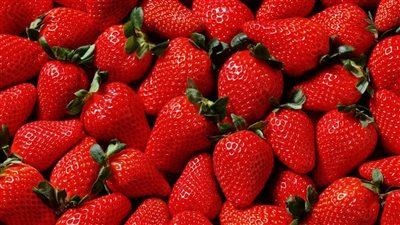 مصر أكبر دولة في العالم في تصدير الفراولة المجمدة